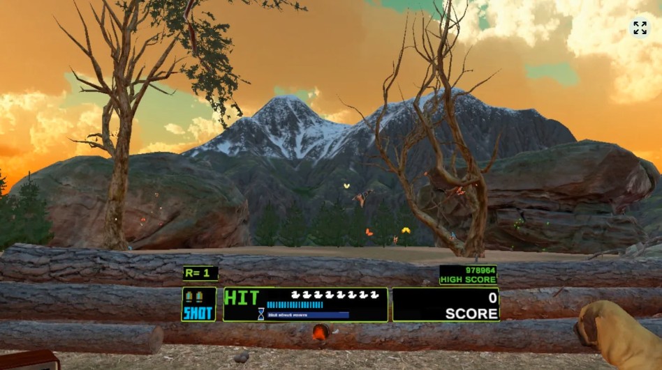 Virtual Duck Hunt