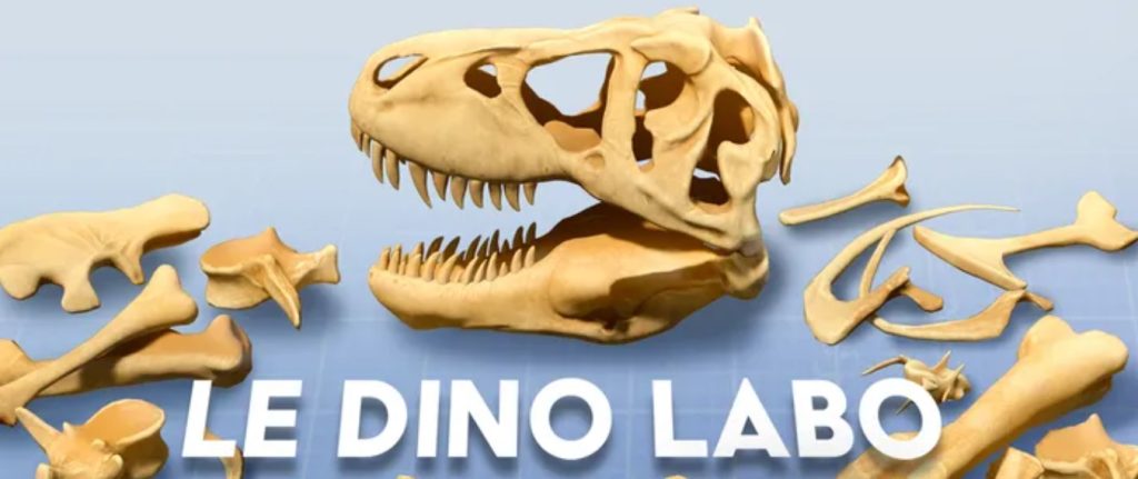 Le Dino Labo